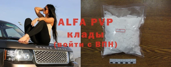 шишки Щучье